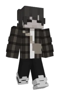 1FlaYM Minecraft avatar full body