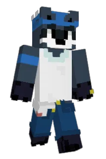 1Gobro12 Minecraft avatar full body