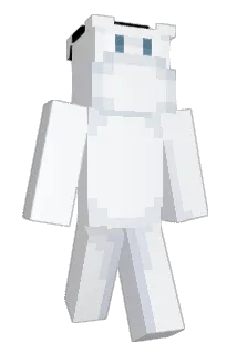 1Jani Minecraft avatar full body