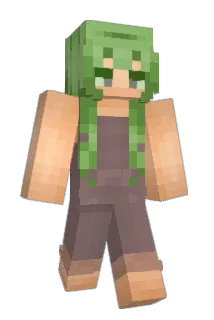 1Link4 Minecraft avatar full body