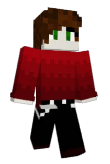 1NS4N1TY22 Minecraft avatar full body