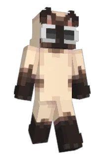 1OvCat Minecraft avatar full body