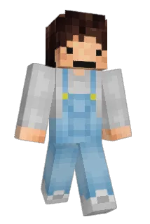 1PSP1 Minecraft avatar full body