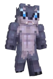 1SX Minecraft avatar full body