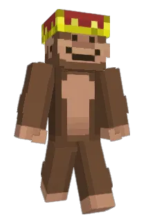 1Skyys Minecraft avatar full body