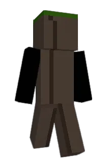 1TopShelf Minecraft avatar full body