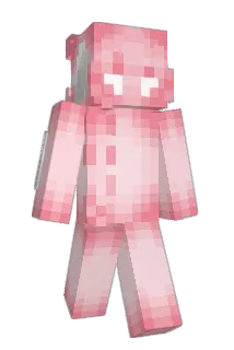 1Vivvid Minecraft avatar full body
