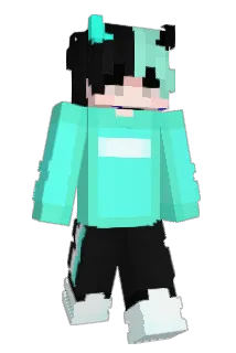 1_Ninja_1 Minecraft avatar full body
