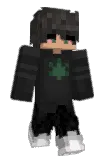 1______ Minecraft avatar full body