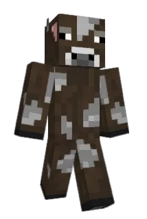 1__hayden__1 Minecraft avatar full body