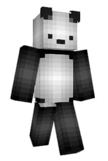 1_nsx Minecraft avatar full body
