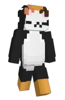 Front of L0oter's skin