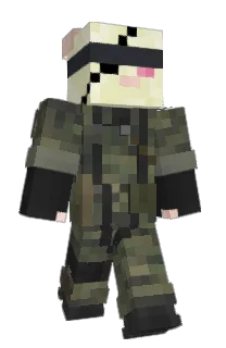 Front of Valencord24's skin