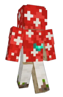 Front of ruerik's skin