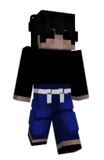 Front of Teamwipe's skin