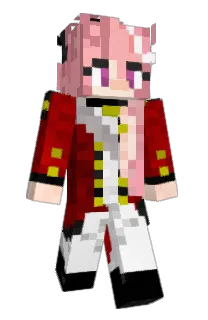 Front of CNFN's skin