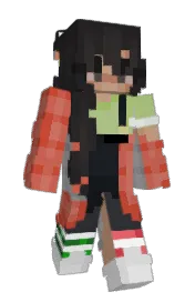 Skin preview