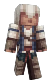 Skin preview