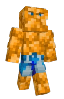 Front of TheEpicTortoise's skin