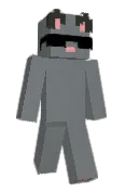 survalk