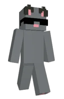 Front of survalk's skin