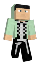Skin preview