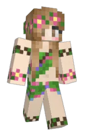 Skin preview