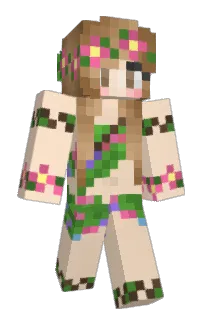 Front of Minecraft skin