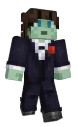 Minecraft skin — Classic model