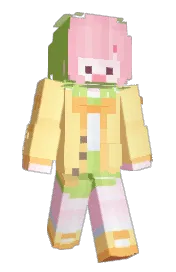 Skin preview