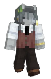 Front of seavomit's skin