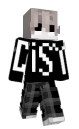 Minecraft skin — Classic model