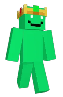 Front of INF_1010101's skin