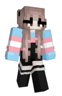 Front of mechanikate's skin