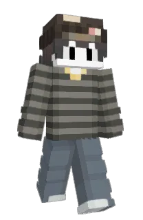 Front of fizzix's skin