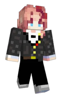 Front of superluigi0406's skin