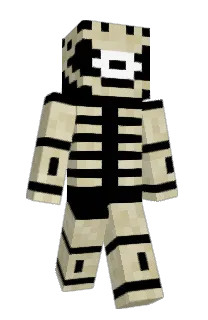 Front of 10011011100011's skin