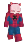 Zaide_Why