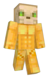 Front of CitrusTwist's skin