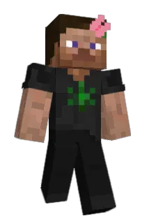 1afa Minecraft avatar full body