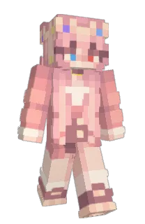 Front of acvhi's skin