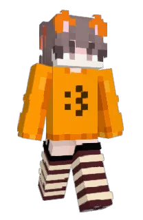 Front of ChrisGamingNL333's skin