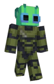 Skin preview