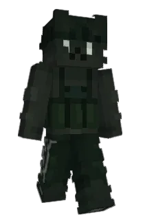 Front of loupgardien974's skin