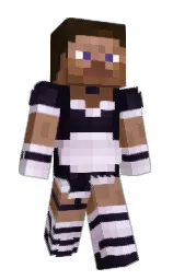 ilovecookies1243's Minecraft skin wearing the Migrator cape