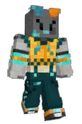 randomskjord