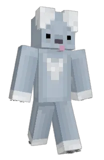 Front of whizbird's skin