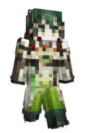 Skin preview