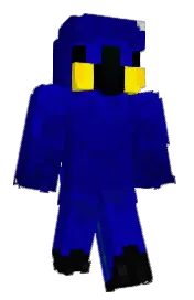 Skin preview
