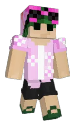 Minecraft skin — Classic model